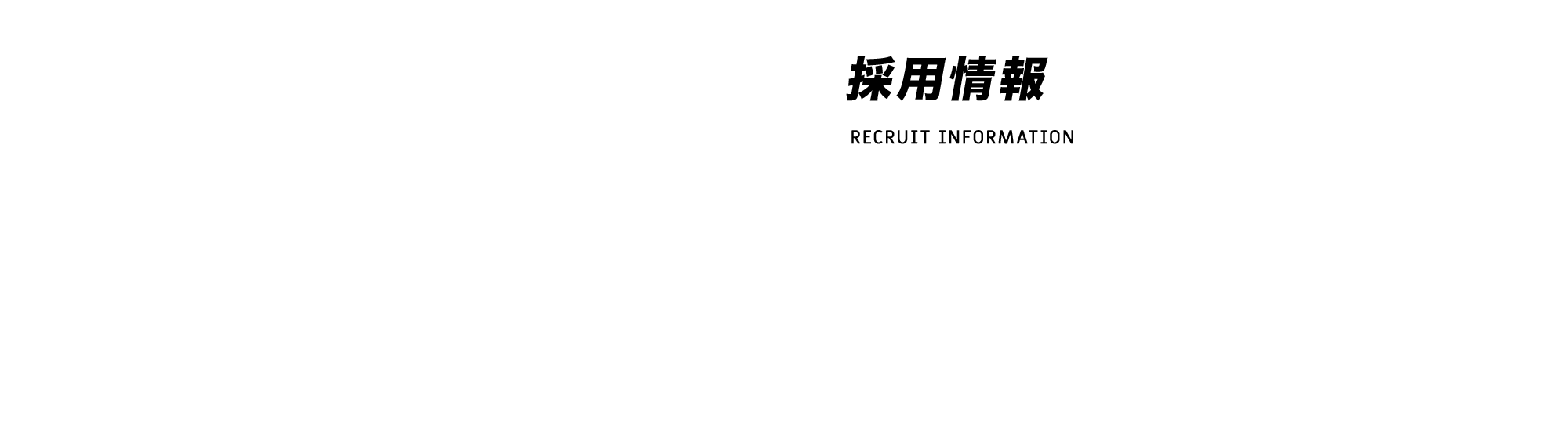 採用情報